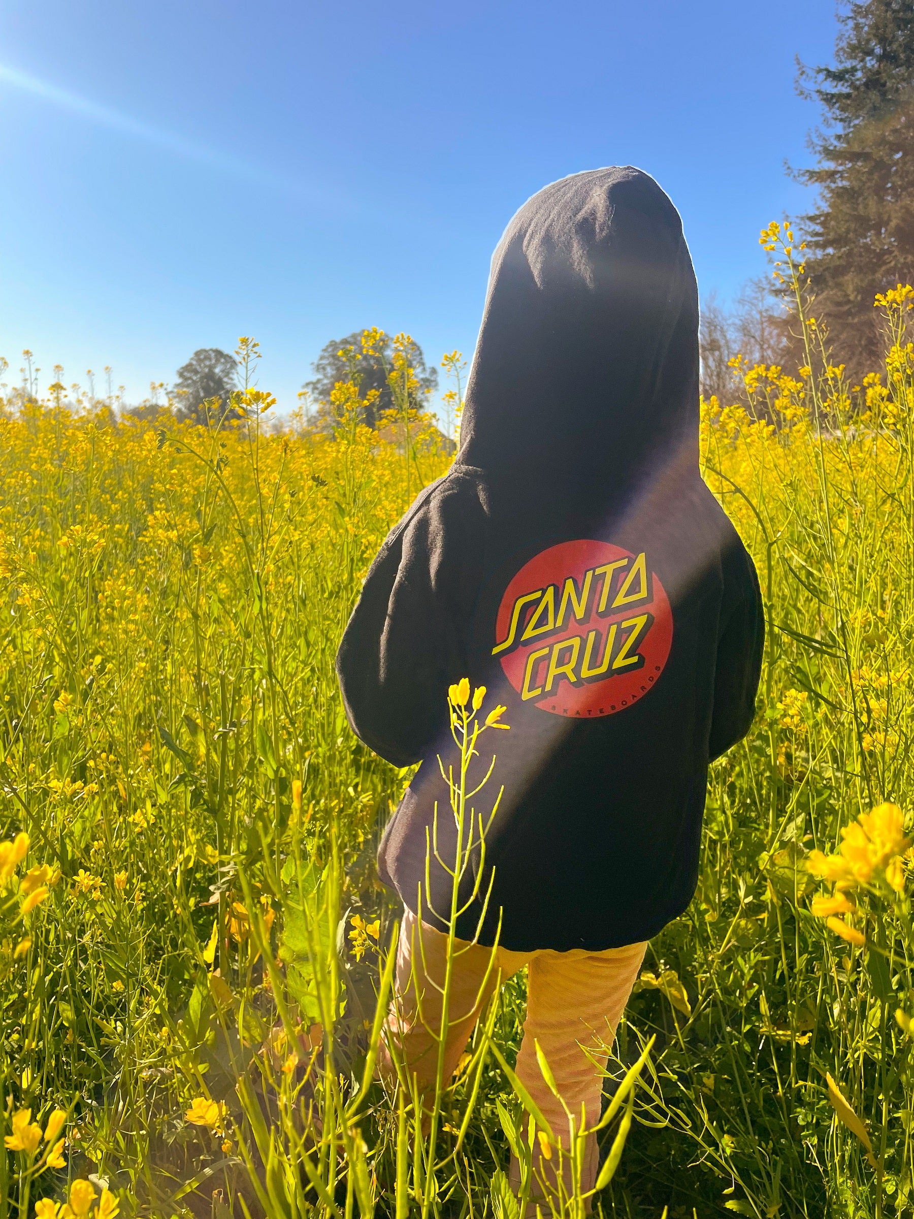 Classic Dot Santa Cruz Youth Zip Hoodie - Image 14