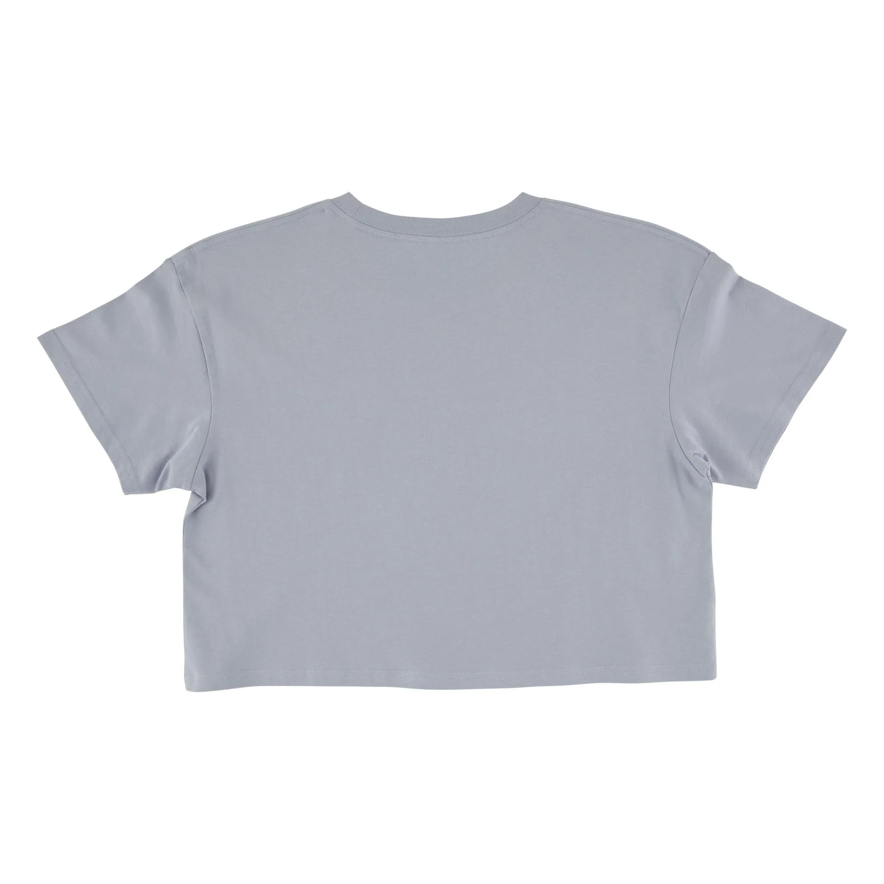Flame Strip Womens Santa Cruz Crop T-Shirt - Image 4